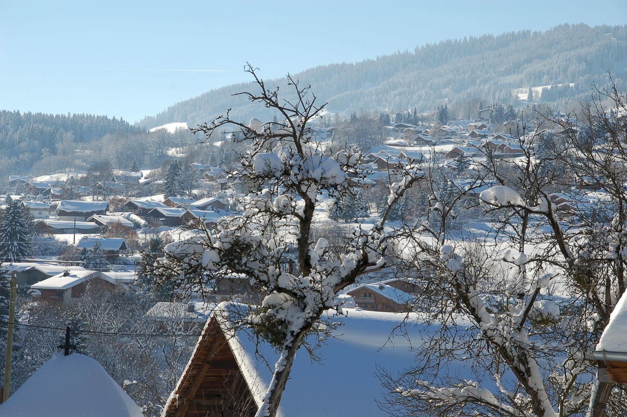 Hotel Le Caprice Des Neiges Комблу Экстерьер фото