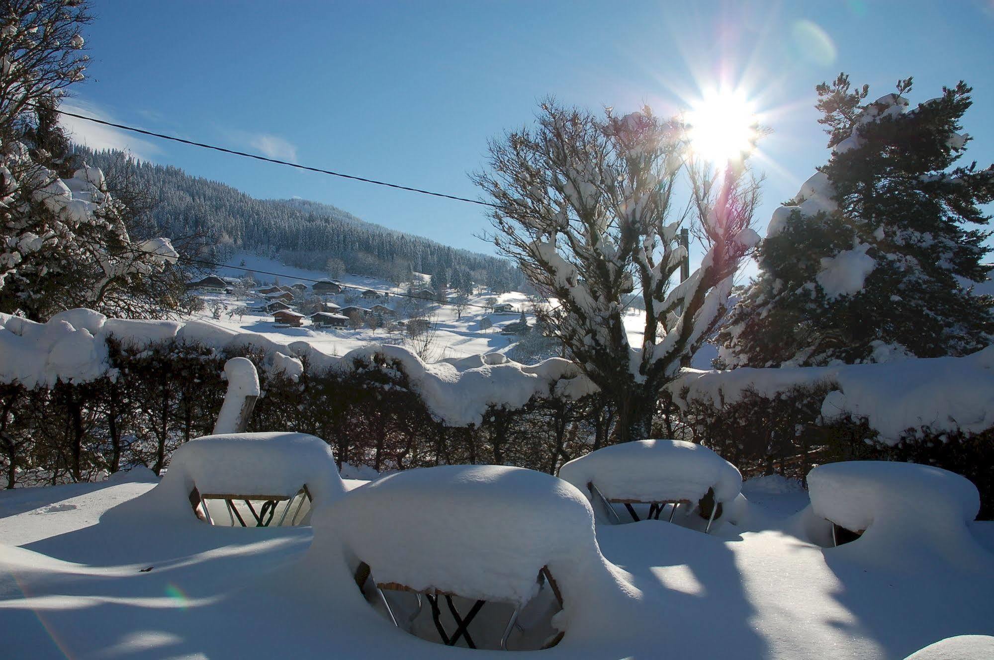 Logis Hotel Le Caprice Des Neiges Комблу Экстерьер фото